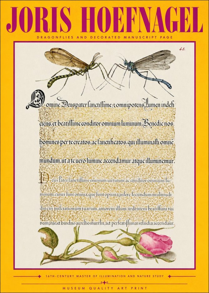 Joris Hoefnagel Dragonflies and Decorated Manuscript Page No4 - Poszter