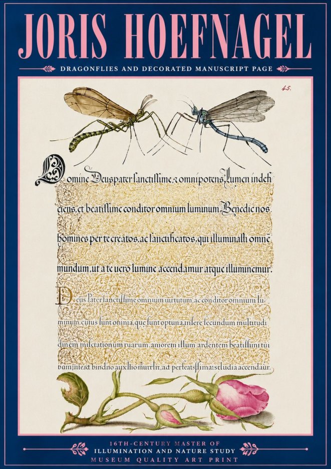 Joris Hoefnagel Dragonflies and Decorated Manuscript Page No6 - Poszter