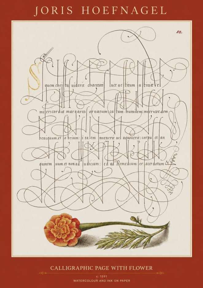 Joris Hoefnagel Calligraphic Study with Marigold No2 - Poszter