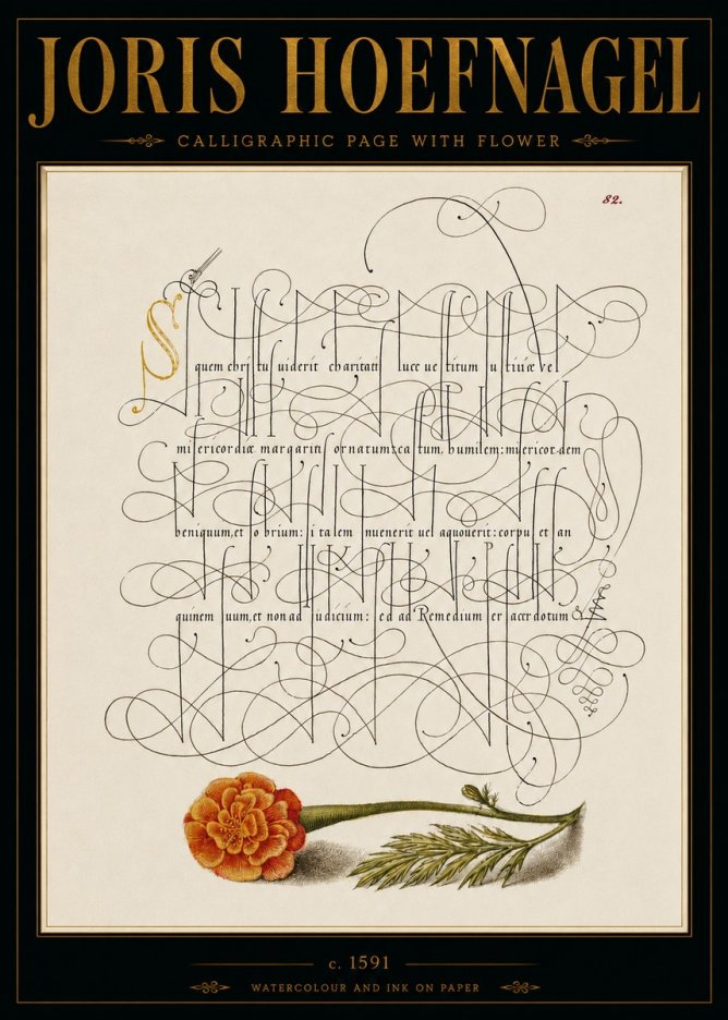 Joris Hoefnagel Calligraphic Study with Marigold No6 - Poszter