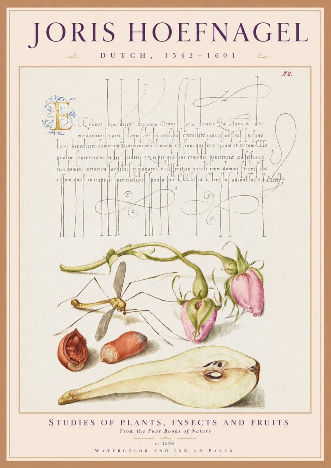 Joris Hoefnagel Studies of Plants, Insects and Fruits No1 - Poszter
