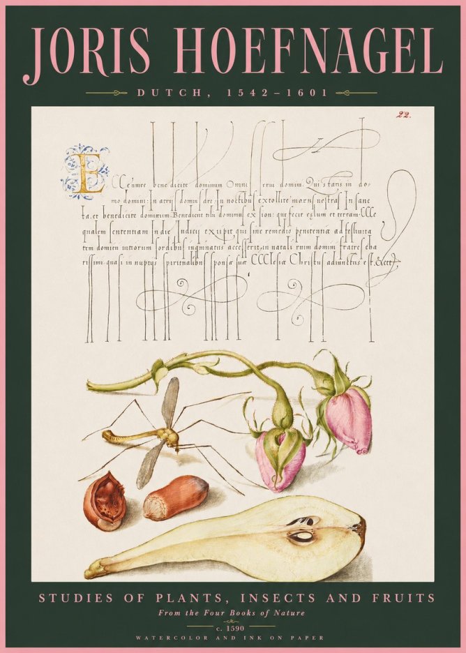 Joris Hoefnagel Studies of Plants, Insects and Fruits No2 - Poszter