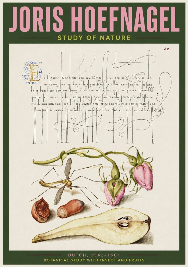 Joris Hoefnagel Studies of Plants, Insects and Fruits No4 - Poszter