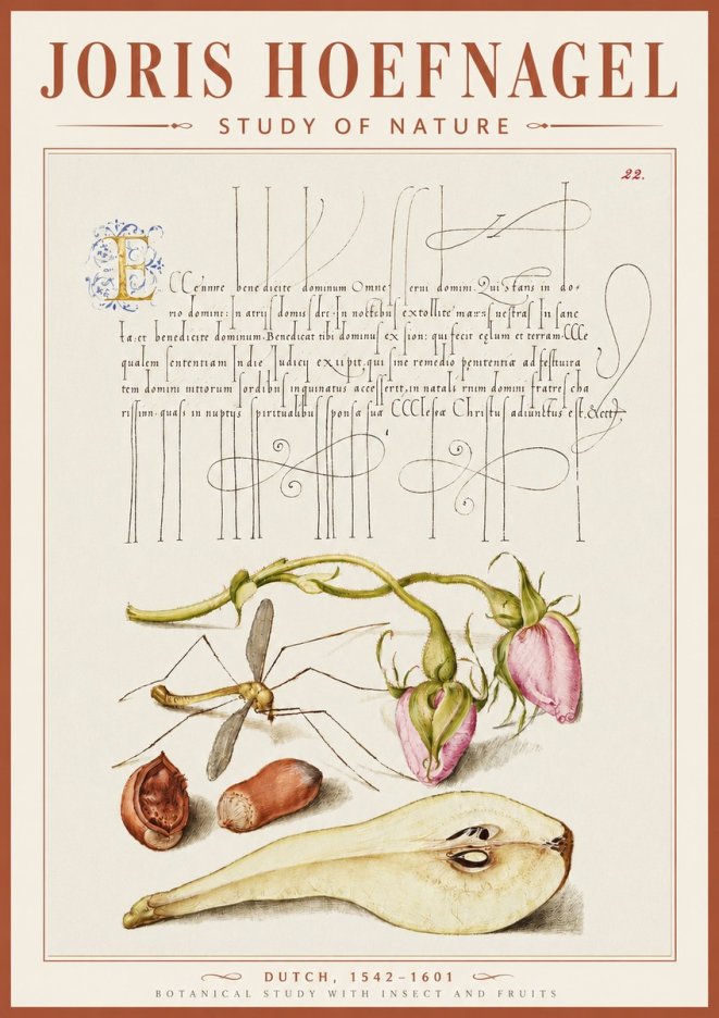 Joris Hoefnagel Studies of Plants, Insects and Fruits No5 - Poszter