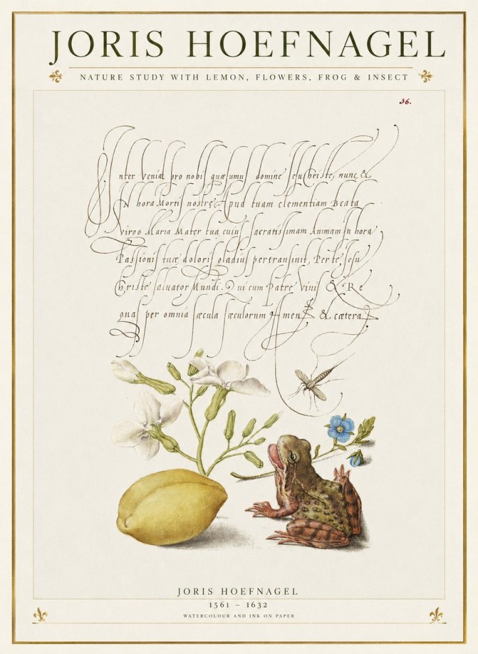 Joris Hoefnagel Nature Study with Lemon, Flowers, Frog & Insect No1 - Poszter