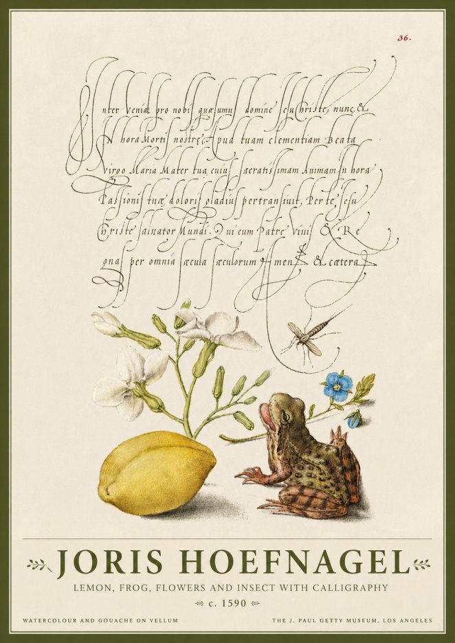 Joris Hoefnagel Nature Study with Lemon, Flowers, Frog & Insect No4 - Poszter