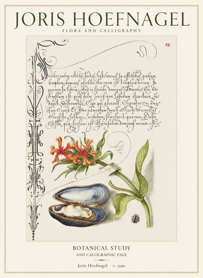 Joris Hoefnagel Botanical Study and Calligraphic Page No1 - Poszter