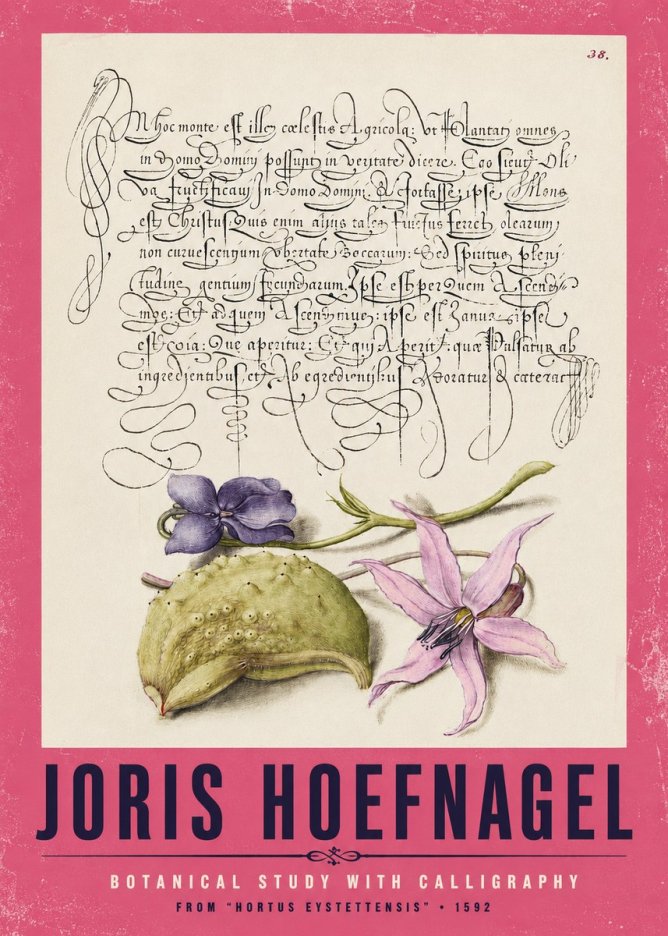 Joris Hoefnagel Botanical Study with Calligraphy I No2 - Poszter