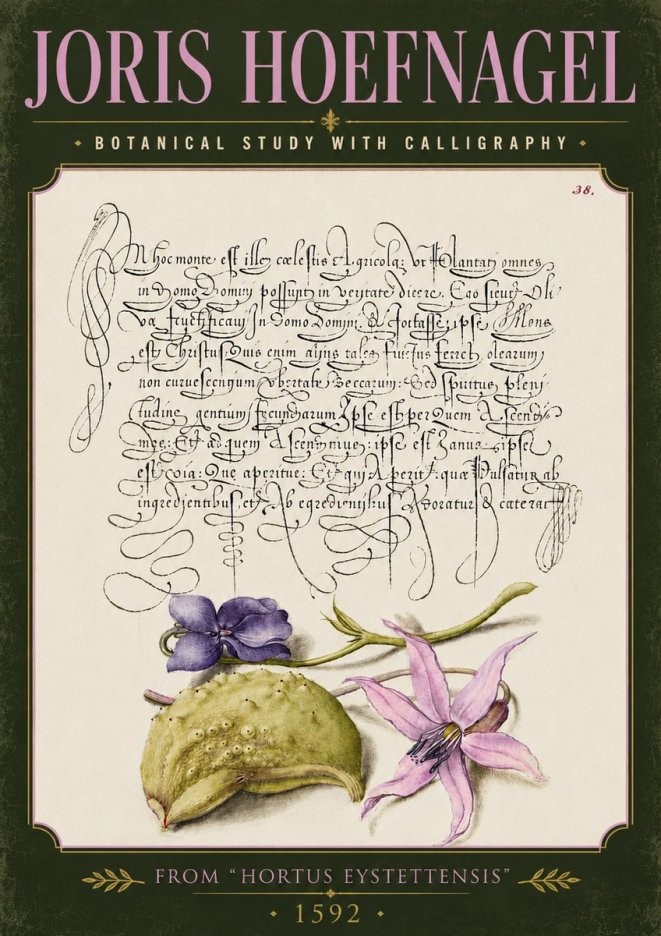 Joris Hoefnagel Botanical Study with Calligraphy I No5 - Poszter