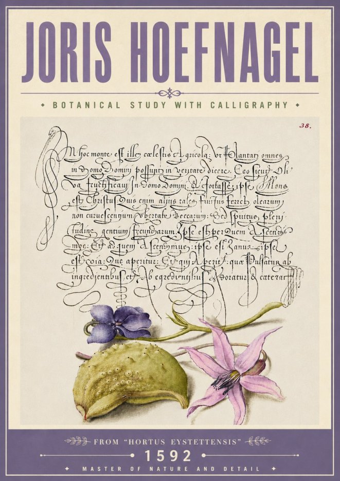 Joris Hoefnagel Botanical Study with Calligraphy I No6 - Poszter