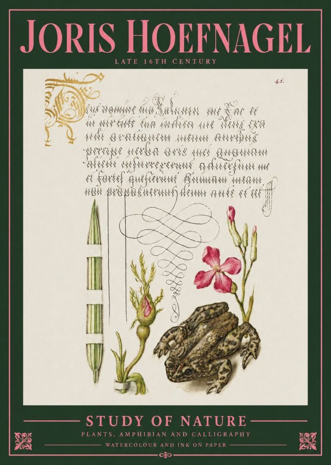 Joris Hoefnagel Study of Nature I No2 - Poszter