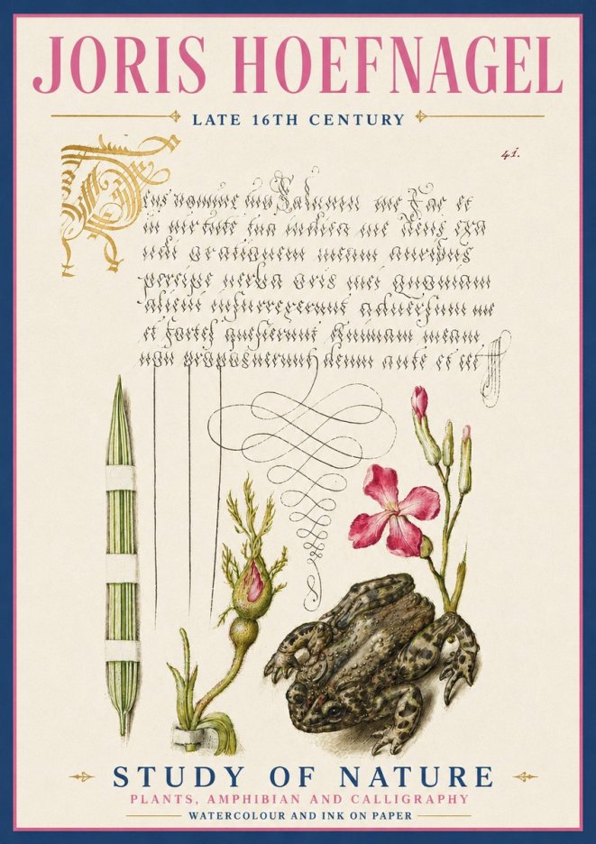 Joris Hoefnagel Study of Nature I No5 - Poszter