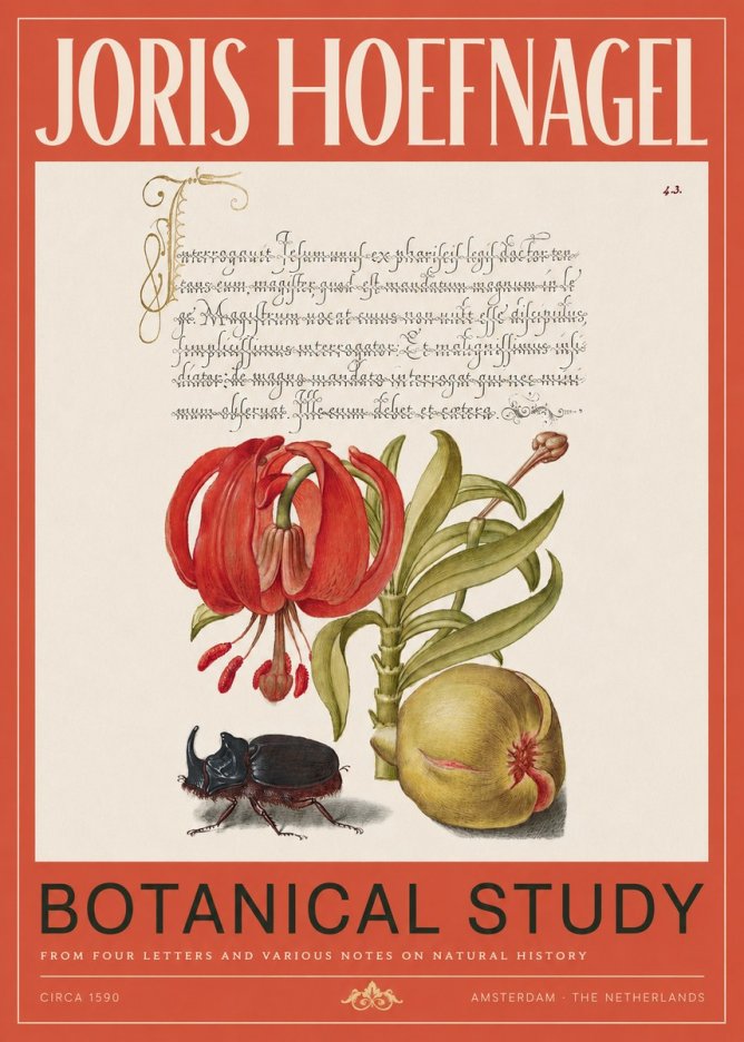 Joris Hoefnagel Botanical Study II No2 - Poszter