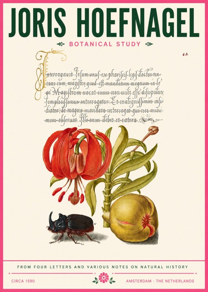 Joris Hoefnagel Botanical Study II No6 - Poszter