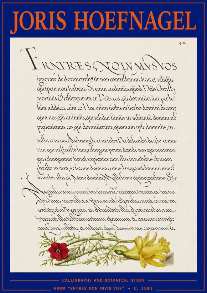 Joris Hoefnagel Calligraphy and Botanical Study I No3 - Poszter