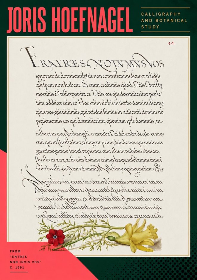 Joris Hoefnagel Calligraphy and Botanical Study I No5 - Poszter