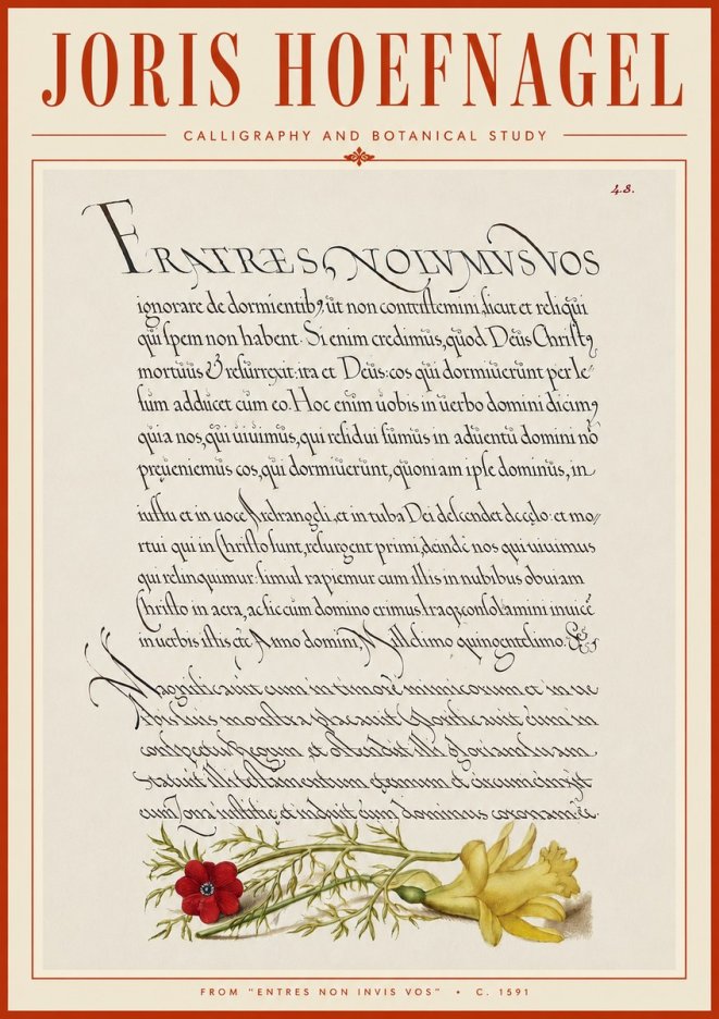 Joris Hoefnagel Calligraphy and Botanical Study I No6 - Poszter