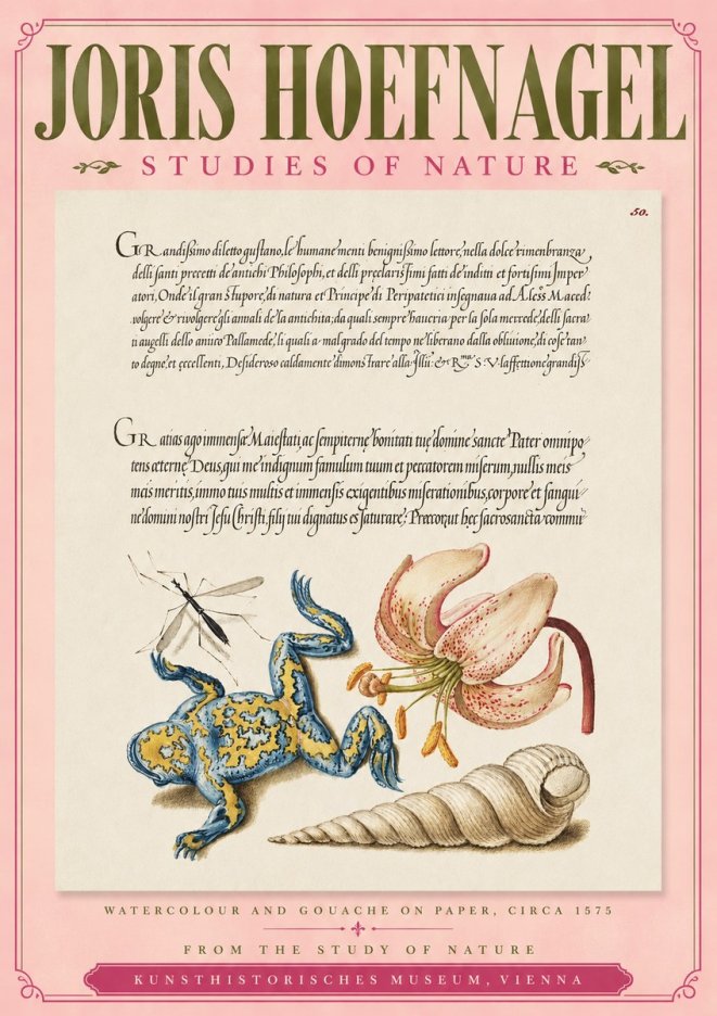 Joris Hoefnagel From the Study of Nature No3 - Poszter