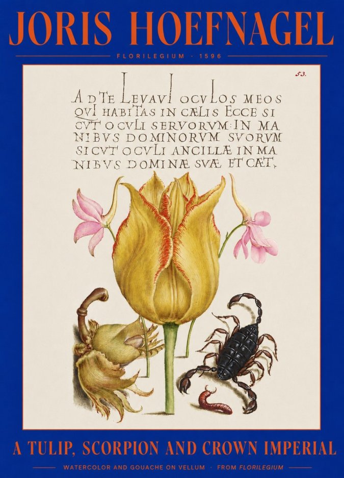 Joris Hoefnagel A Tulip, Scorpion and Crown Imperial No2 - Poszter