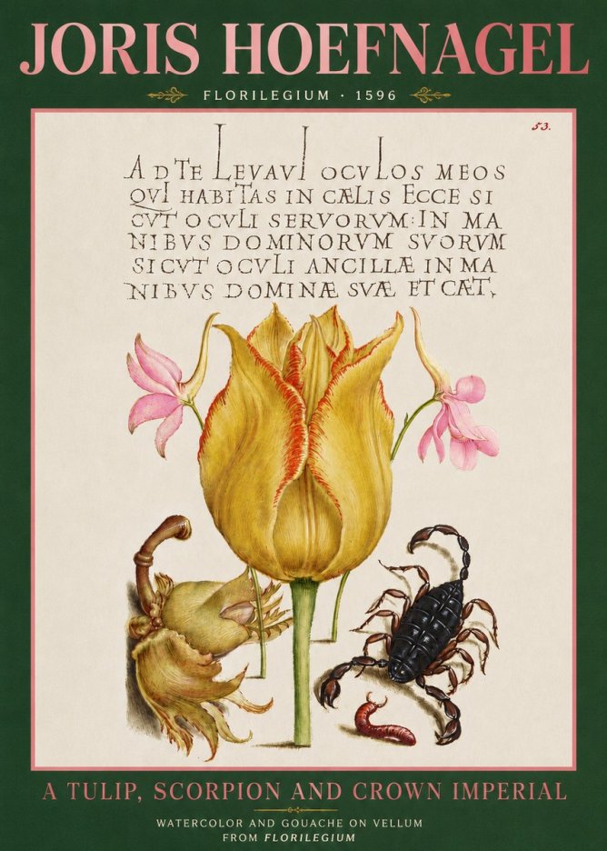 Joris Hoefnagel A Tulip, Scorpion and Crown Imperial No3 - Poszter