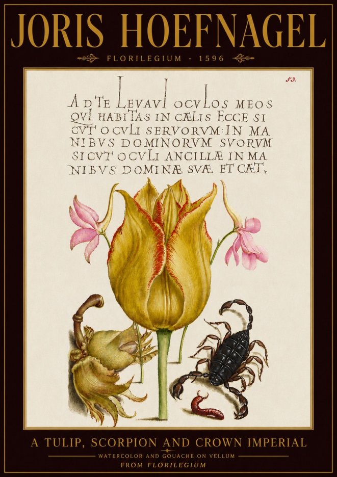 Joris Hoefnagel A Tulip, Scorpion and Crown Imperial No5 - Poszter