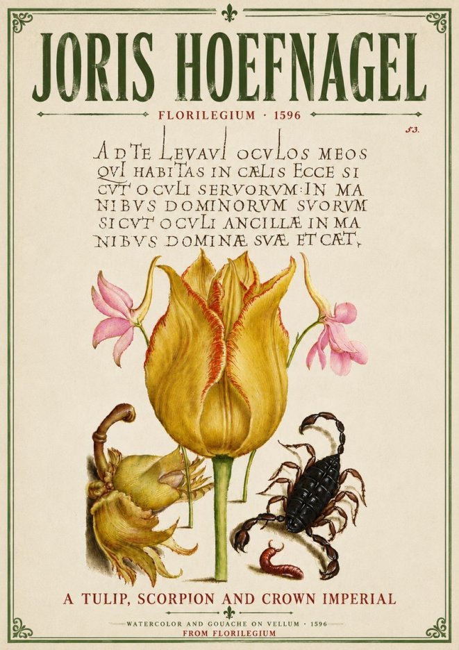 Joris Hoefnagel A Tulip, Scorpion and Crown Imperial No6 - Poszter
