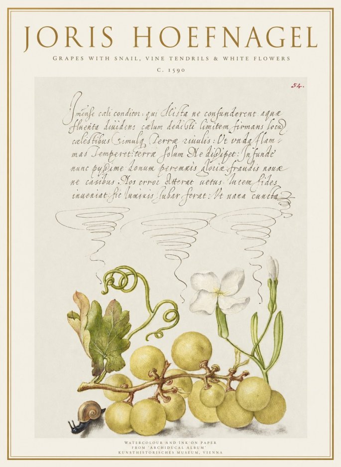 Joris Hoefnagel Grapes with Snail, Vine Tendrils & White Flowers No1 - Poszter