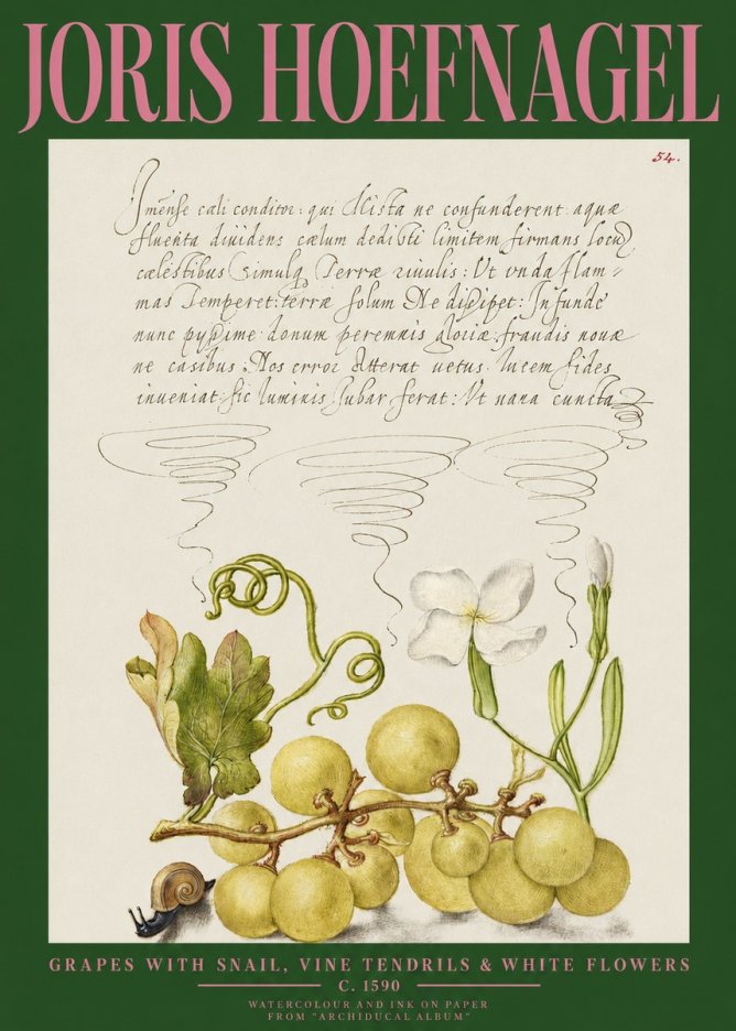 Joris Hoefnagel Grapes with Snail, Vine Tendrils & White Flowers No2 - Poszter