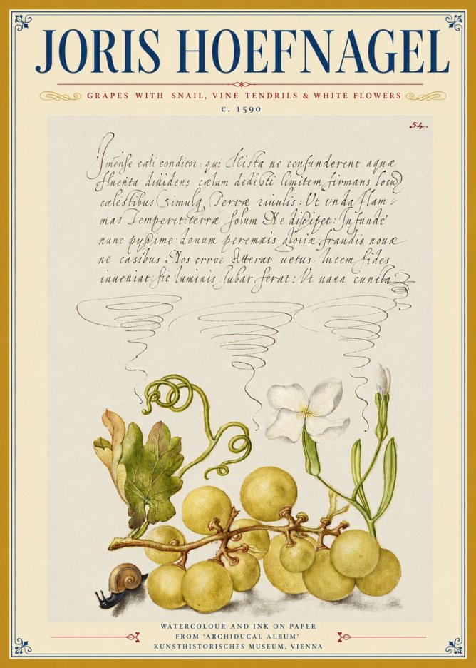 Joris Hoefnagel Grapes with Snail, Vine Tendrils & White Flowers No3 - Poszter