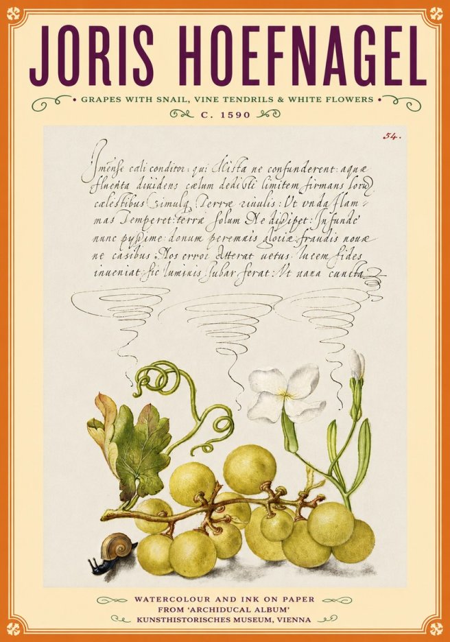 Joris Hoefnagel Grapes with Snail, Vine Tendrils & White Flowers No6 - Poszter