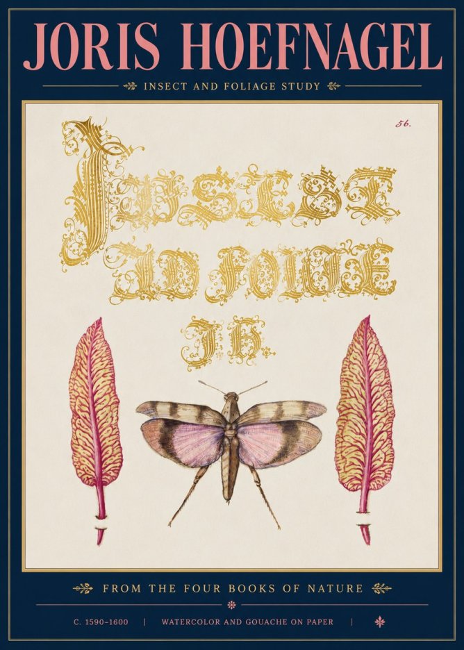 Joris Hoefnagel Insect and Foliage Study No5 - Poszter
