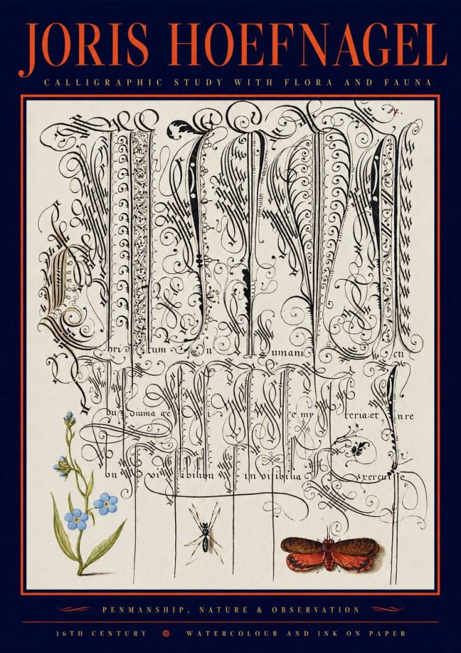 Joris Hoefnagel Calligraphic Study with Flora and Fauna No2 - Poszter