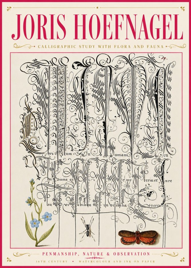 Joris Hoefnagel Calligraphic Study with Flora and Fauna No6 - Poszter