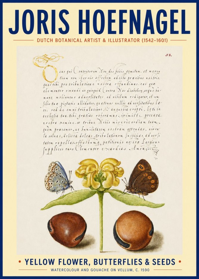 Joris Hoefnagel Yellow Flower, Butterflies & Seeds No3 - Poszter