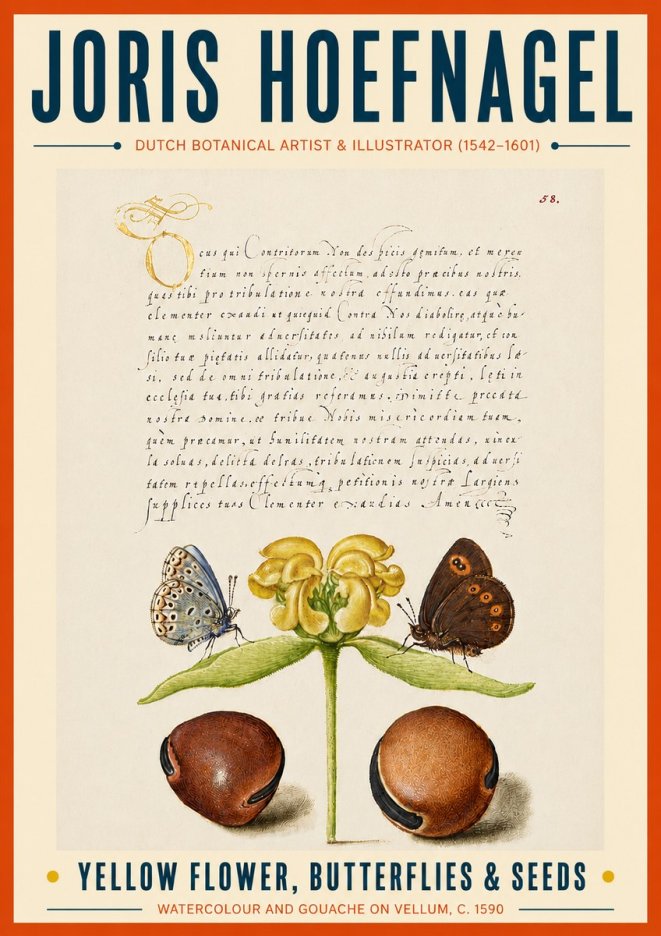 Joris Hoefnagel Yellow Flower, Butterflies & Seeds No6 - Poszter