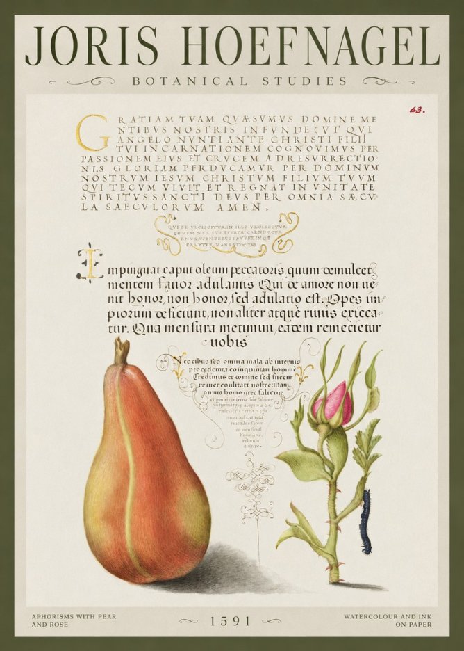 Joris Hoefnagel Aphorisms with Pear and Rose No1 - Poszter
