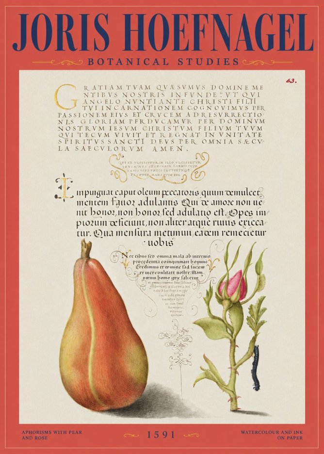 Joris Hoefnagel Aphorisms with Pear and Rose No2 - Poszter