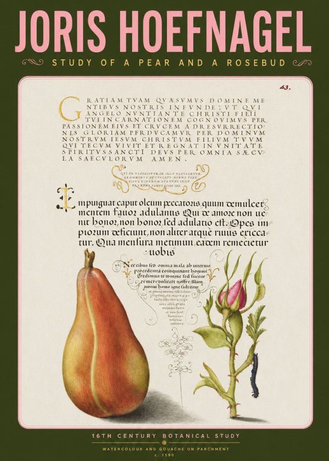Joris Hoefnagel Aphorisms with Pear and Rose No4 - Poszter