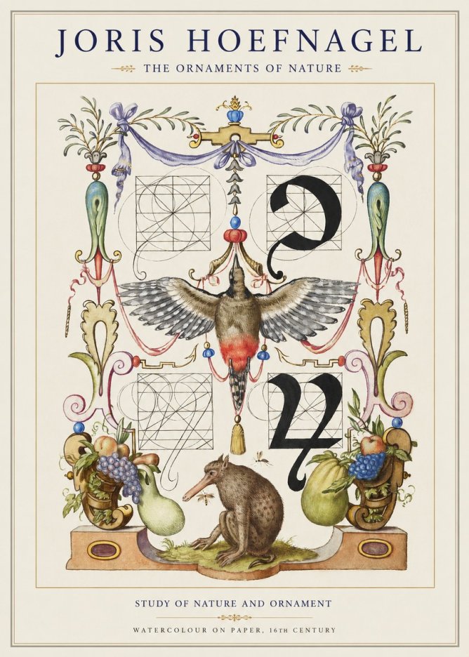 Joris Hoefnagel Study of Nature and Ornament No1 - Poszter