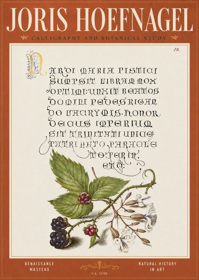 Joris Hoefnagel Calligraphy and Botanical Study II No4 - Poszter