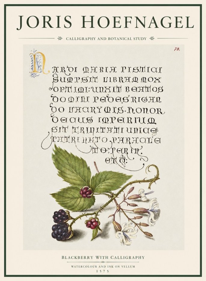 Joris Hoefnagel Calligraphy and Botanical Study II No5 - Poszter