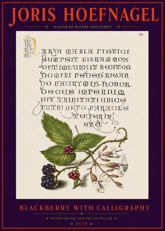 Joris Hoefnagel Calligraphy and Botanical Study II No6 - Poszter