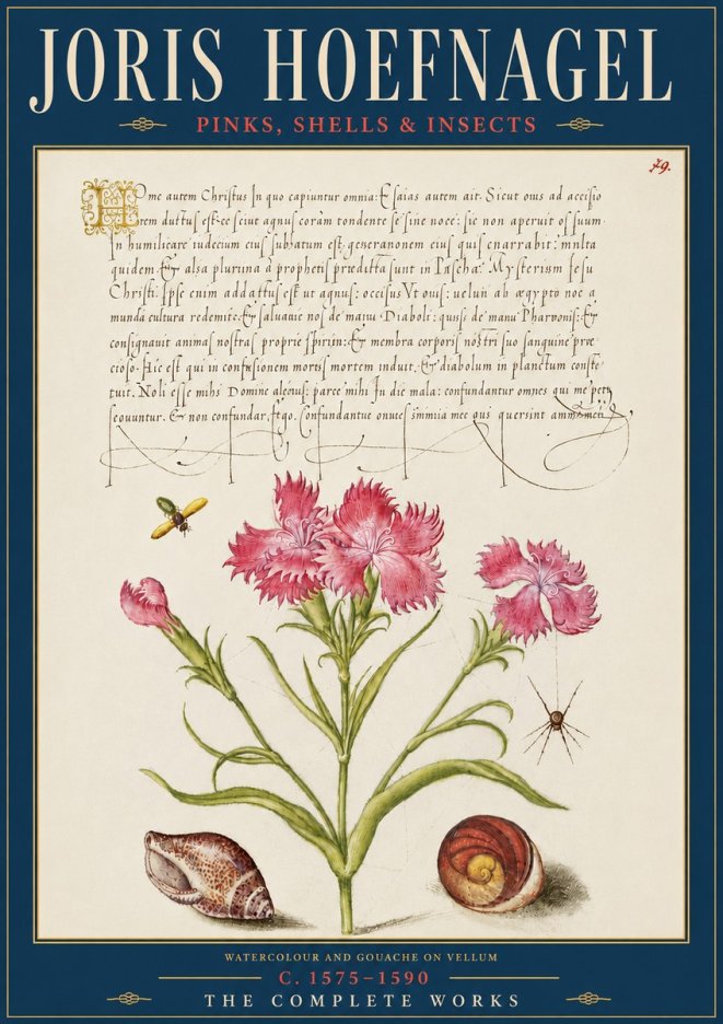 Joris Hoefnagel Pinks, Shells & Insects No5 - Poszter