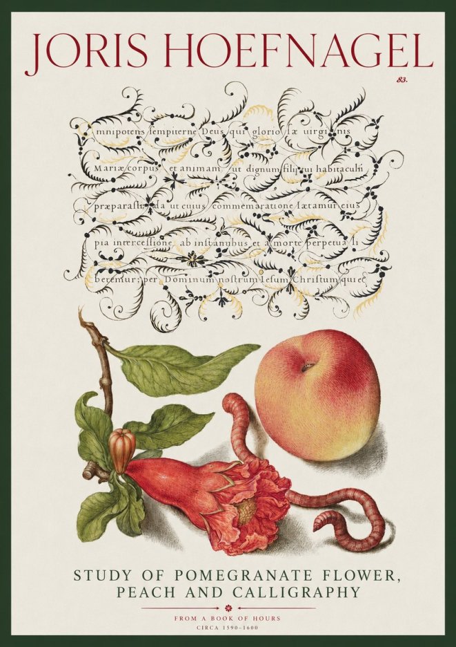Joris Hoefnagel Study of Pomegranate Flower, Peach and Calligraphy from a Book of Hours No2 - Poszter