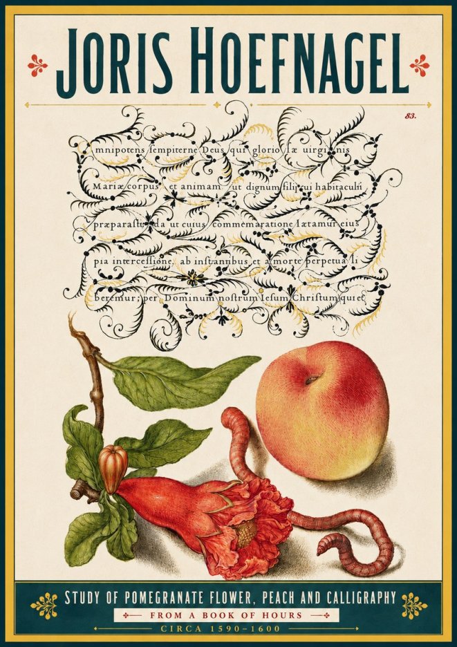 Joris Hoefnagel Study of Pomegranate Flower, Peach and Calligraphy from a Book of Hours No5 - Poszter