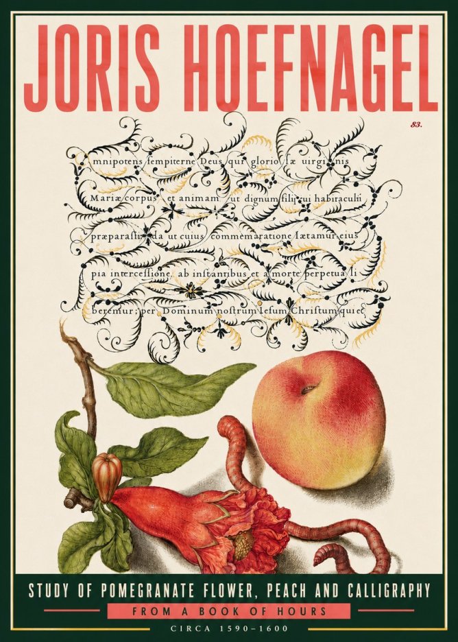 Joris Hoefnagel Study of Pomegranate Flower, Peach and Calligraphy from a Book of Hours No6 - Poszter