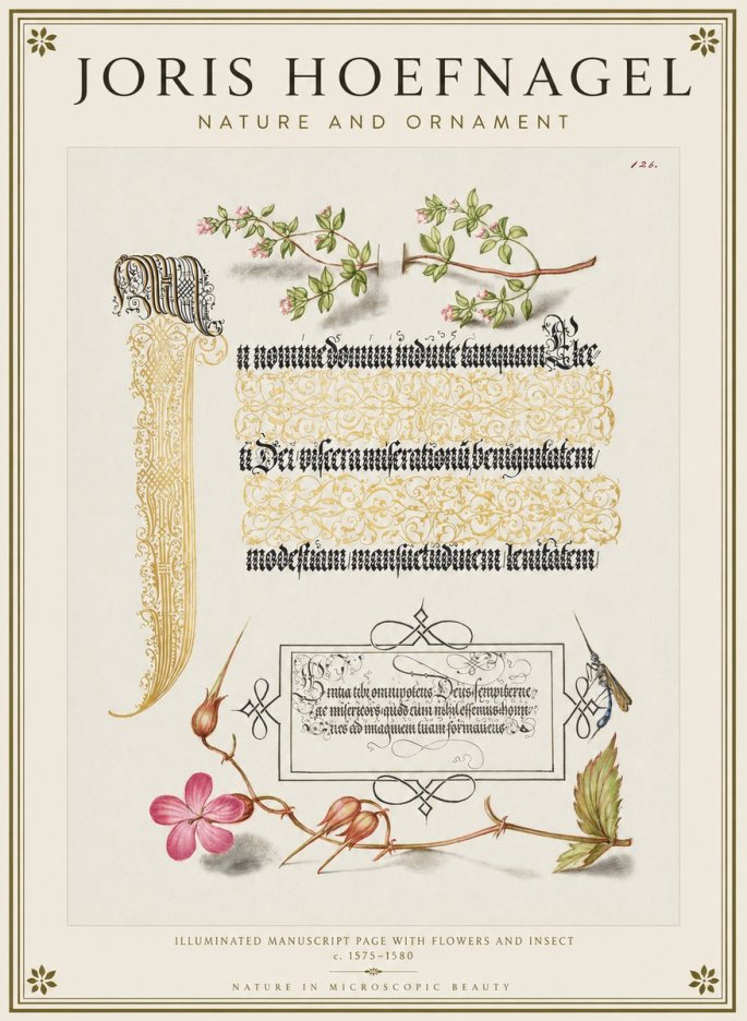 Joris Hoefnagel Illuminated Manuscript Page with Flowers and Insect No1 - Poszter