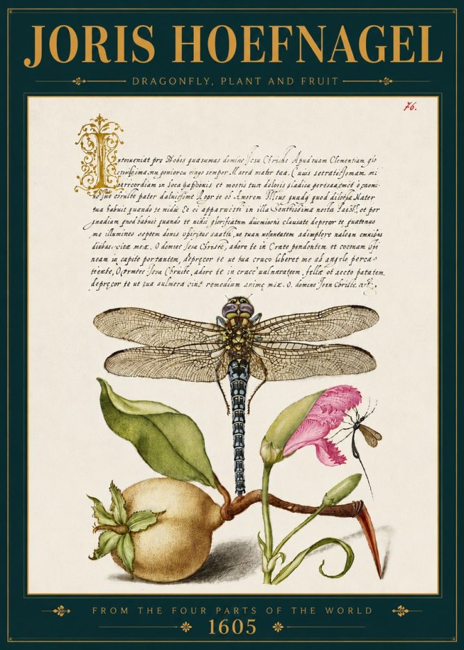Joris Hoefnagel Dragonfly, Plant and Fruit No5 - Poszter