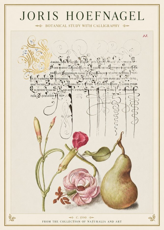 Joris Hoefnagel Botanical Study with Calligraphy II No1 - Poszter