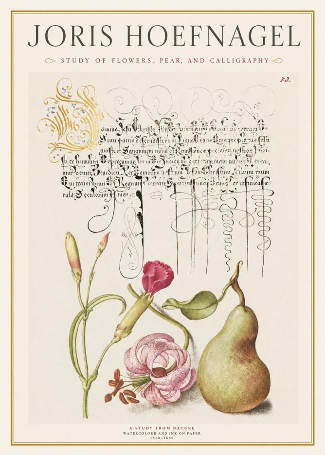 Joris Hoefnagel Botanical Study with Calligraphy II No2 - Poszter